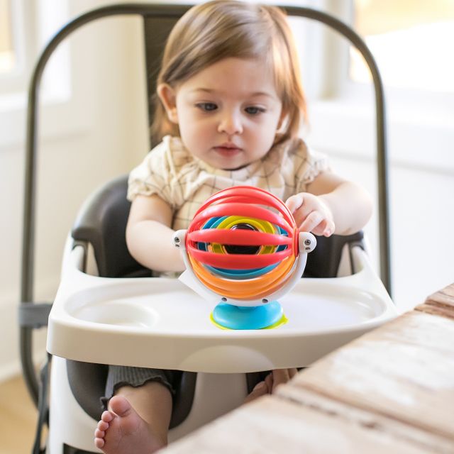 BABY EINSTEIN Sticky Spinner Activity Toy